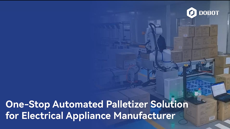 One-Stop Automated Palletizer Solution for Electrical Appliance Manufacturer
