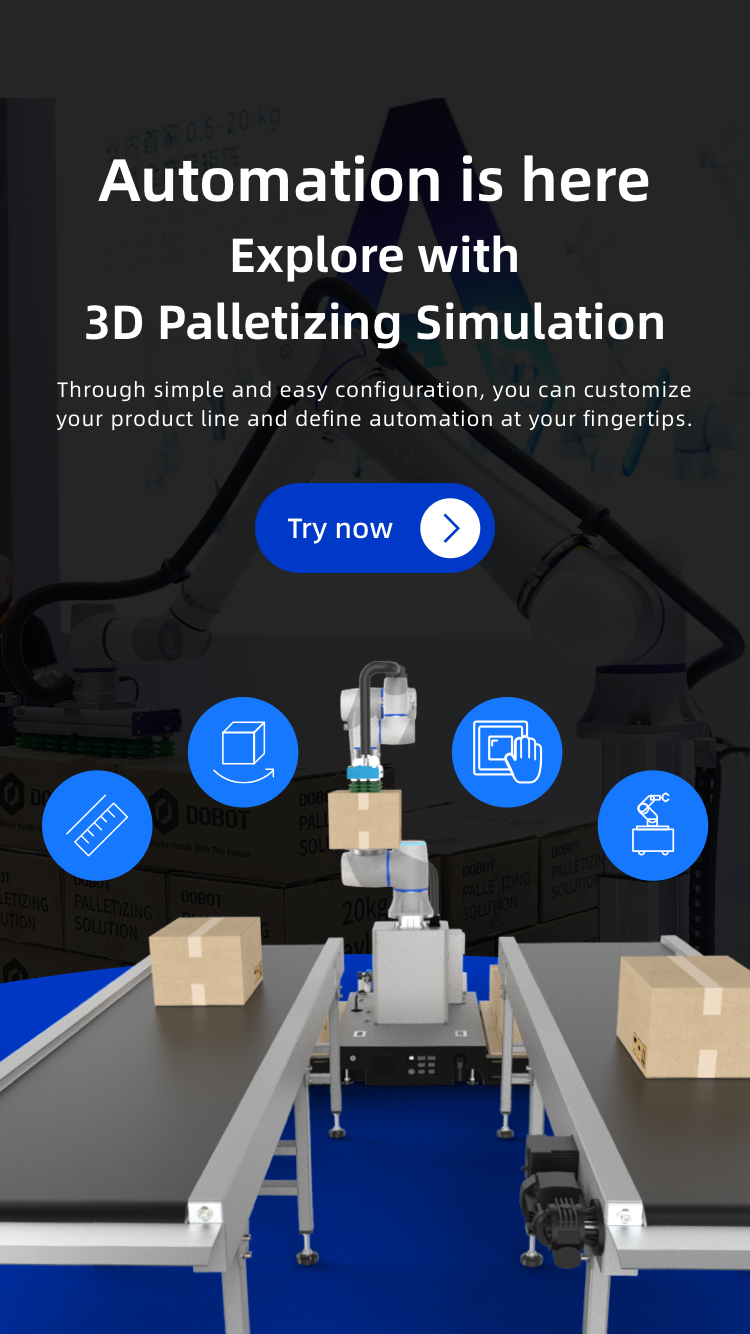 Explore with 3D Palletizing Simulation